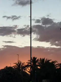 Atardecer naranja con palmeras en Elche